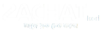 sellsull ecommerce fraud checker